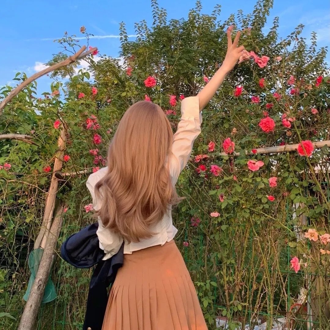 宝芝林粤语